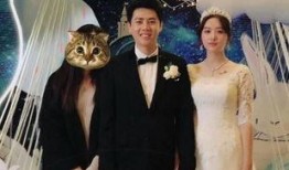 大叔结婚爆料视频完整版,温馨感人瞬间大盘点