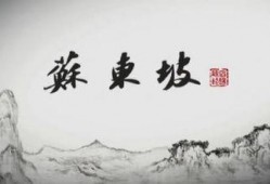 东坡爆料视频大全集最新