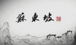 东坡爆料视频大全集最新