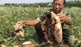 漳浦吃瓜最新事件爆料新闻