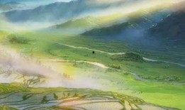 新海诚最新电影爆料,穿越时空的奇幻之旅