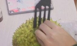 榴莲加工爆料视频播放,视频带你领略独特风味制作过程