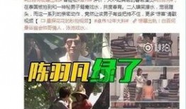 卓伟爆料图文直播视频,图文视频背后的惊人真相