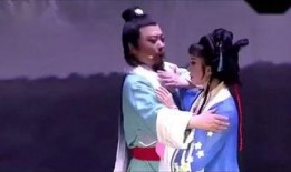 东坡在线观看,穿越时空的东坡文化之旅