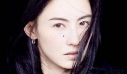 娱乐圈八卦爆料张柏芝是谁啊,娱乐圈八卦中的璀璨明星