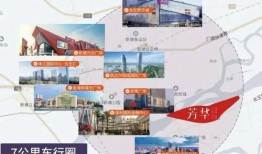 马奇直播爆料视频大全集,揭秘幕后真相与精彩瞬间