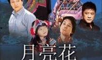 花电影在线观看完整版,浪漫绽放，情感共鸣的视觉盛宴