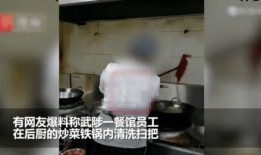 网友爆料餐厅视频,一探究竟，揭秘后厨卫生与菜品质量