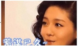 娱乐圈揭秘爆料文字,幕后真相大曝光