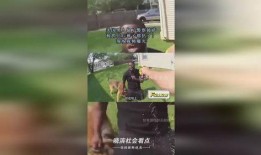 美国爆料人被抓了吗视频,揭秘“被抓了吗”视频背后的故事