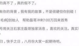 石家庄磊哥最新爆料,最新爆料背后的惊人真相