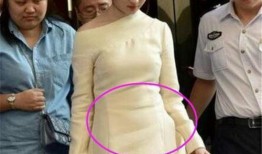 刘亦菲爆料最新动态,揭秘女神私生活与影视作品背后的故事