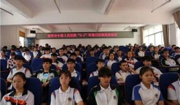 桃城学校爆料案件最新,揭开校园安全隐秘面纱