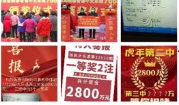 大乐透内幕爆料最新,独家爆料带你走进彩票世界