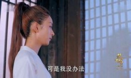 楚乔传第63集在线观看,风云变幻，命运抉择