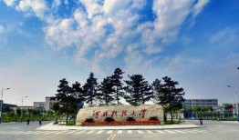 爆料河北科技大学事件视频,真相与争议的交织