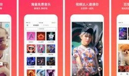 娱乐播报台爆料案例视频,案例视频背后的惊人真相