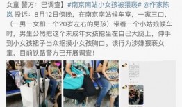 香河独家爆料案件视频,案件视频揭秘惊人真相