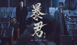 暴君电视剧在线观看,权谋与爱情的残酷演绎