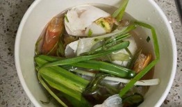 潮汕小豆苗爆料事件视频,揭开食品安全背后的真相