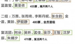 五公现场爆料视频大全集,揭秘幕后真相与精彩瞬间
