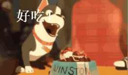 苏州美女被爆料了视频,真相与争议并存