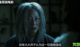 美版咒怨4在线观看,美版惊悚升级，在线观看揭秘恐怖真相