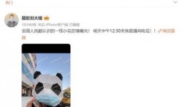 八卦圈爆料恋情视频播放,揭秘明星甜蜜瞬间