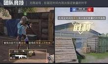 视频大爆料,揭开神秘事件的惊人真相