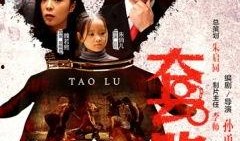 2017大片观看在线,在线观影指南