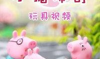 一只佩奇爆料视频大全集,揭秘视频大全集背后的精彩瞬间