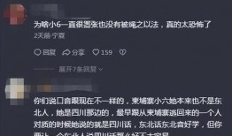 小六爆料视频大全集免费观看,独家揭秘，免费观看，一网打尽