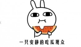 抖音免费吃瓜网站,畅享热门资讯，轻松解锁精彩瞬间