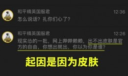和平精英骂人爆料视频,网络暴力下的真实写照