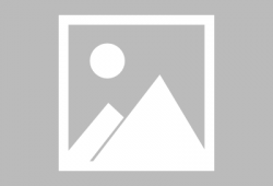 美媒爆料梅西视频在线观看,梅西精彩视频在线观看，球迷狂欢时刻