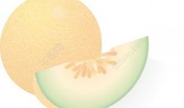 吃瓜题材视频素材下载免费,揭秘热门吃瓜视频背后的故事