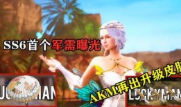 军需新皮肤最新爆料升级枪,枪械美学与实战性能的完美融合