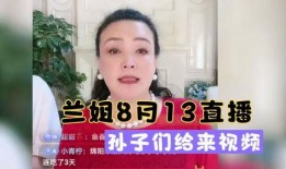 兰姐爆料经纪人是谁呀视频,视频曝光幕后推手身份