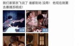 明星亲戚关系爆料视频大全,明星亲戚关系大揭秘，视频爆料大全