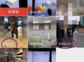 如何拍摄爆料赚钱的视频,轻松拍出热门视频吸金秘籍