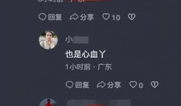 小六爆料视频大全集免费观看,独家揭秘，免费观看，一网打尽