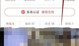 如何拍摄爆料赚钱的视频,轻松拍出热门视频吸金秘籍