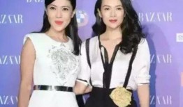 娱乐吃瓜耍大牌小说,吃瓜群众与耍大牌明星的较量