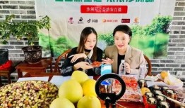 宁乡水果爆料事件视频,视频揭露惊人真相，网友热议不断