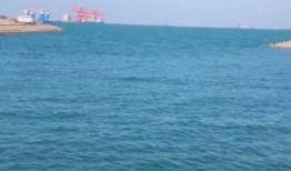 赶海直播间爆料视频大全,海量精彩视频大盘点