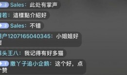 文玩反差爆料怎么做视频,揭秘幕后故事，打造趣味视频攻略