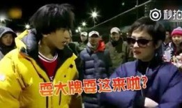 娱乐吃瓜耍大牌小说,吃瓜群众与耍大牌明星的较量