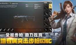 绝地求生爆料教学视频,教学视频爆料带你领略生存技巧与战术策略
