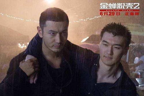 娱乐吃瓜助理黑料,真相与争议并存